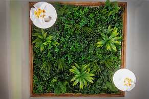 Molucano Themed Rooms