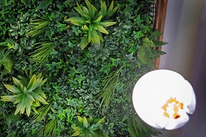 Molucano Themed Rooms