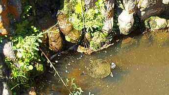 Pousada Temática Estrada Real