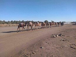 Overnight Camp Merzouga & Camel Tours