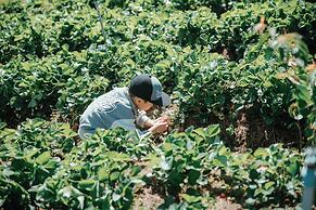 Kim Ngan Hills Resort