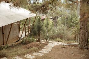 Kim Ngan Hills Resort