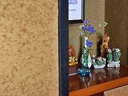 Matsubaya Guesthouse - Hostel