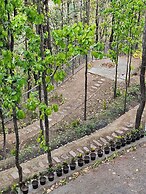 Marten's Wilderness Retreat