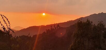 Marten's Wilderness Retreat