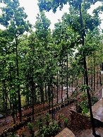 Marten's Wilderness Retreat