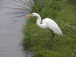 Wild Wetlands Lodge