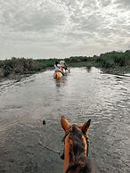 Wild Wetlands Lodge
