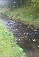 Immaculate 2-bed Lodge in Nr Mevagissey