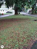 Immaculate 2-bed Lodge in Nr Mevagissey