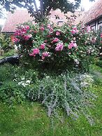 Rosindell-cottage