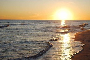 Escapes To The Shores