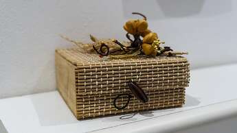 Ferrarese 160 2 in Bologna