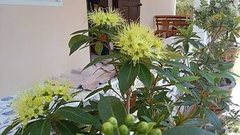 Sea guest house