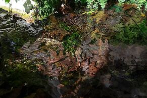 Glikanisos House Nipos - Ideal for Hikers and Families 2bd, 6pl, 10min