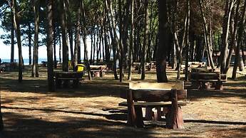 ÇINARSUYU TABİAT PARKI BUNGALOV