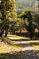 Vinte-Quinta da Boavista