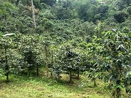 Bhakti Coffee Farm