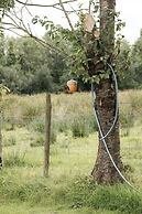 Luxury Waterfront Self-Catering Cabins