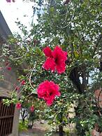 Casa Boutique Remolino