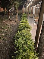 Casa Boutique Remolino