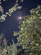 Casa Boutique Remolino