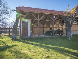Harghita Traditional House