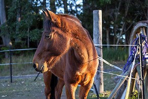Krishna Farm Retreat