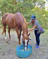 Krishna Farm Retreat