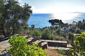 Traditional Luxury House In Pelion 