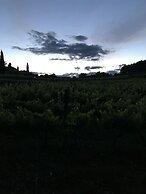 Domaine du Clos d'Alari