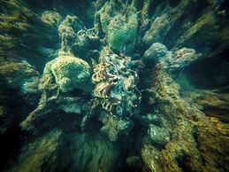 Full Moon Island Resort