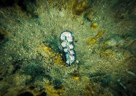 Full Moon Island Resort