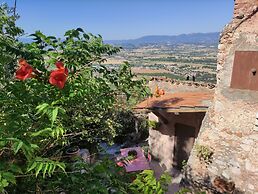 Italian Charming Mansion in the County Side. Enjoy Umbria