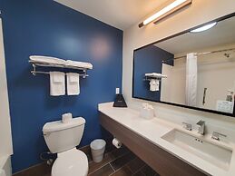 Spark by Hilton Lansing