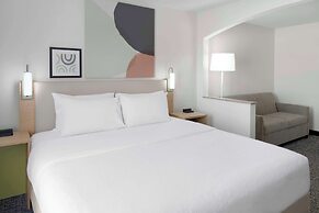 Spark by Hilton Lansing