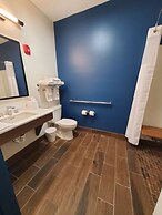 Spark by Hilton Lansing