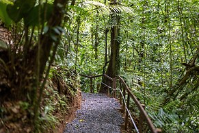 Cabañas Caeli, Peaceful Rainforest Retreat with Stunning Views