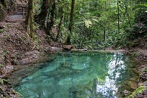 Cabañas Caeli, Peaceful Rainforest Retreat with Stunning Views