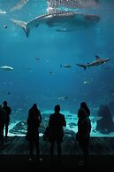 Hotel Granada Midtown