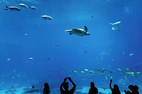 Hotel Granada Midtown