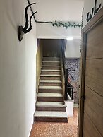 Habitaciones la jungla 22