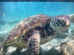 Moalboal Casablanca Inn