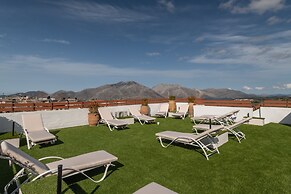 Treasure Of Herbs Complex