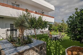 Treasure Of Herbs Complex