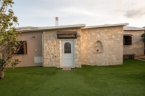 Treasure Of Herbs Complex