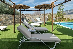 Treasure Of Herbs Complex