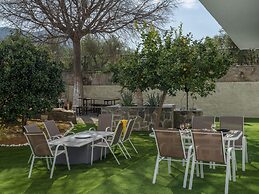 Treasure Of Herbs Complex