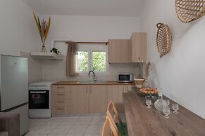 Treasure Of Herbs Complex