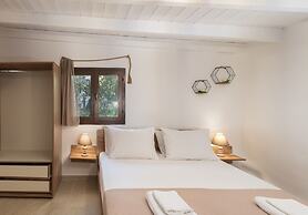 Treasure Of Herbs Complex